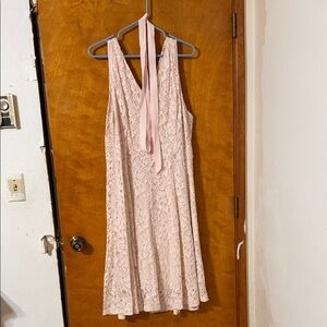 Lane Bryant Blush Lace Apparel